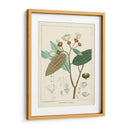 Vintage Verdure Iii | Cuadro decorativo de Canvas Lab