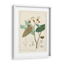 Vintage Verdure Iii | Cuadro decorativo de Canvas Lab