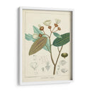 Vintage Verdure Iii | Cuadro decorativo de Canvas Lab
