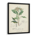 Vintage Verdure Iv | Cuadro decorativo de Canvas Lab