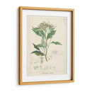 Vintage Verdure Iv | Cuadro decorativo de Canvas Lab