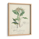 Vintage Verdure Iv | Cuadro decorativo de Canvas Lab