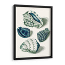 Cáscaras De Celadon I - Vision Studio | Cuadro decorativo de Canvas Lab