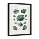 Celadon Shells Ii - Vision Studio | Cuadro decorativo de Canvas Lab