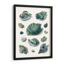 Celadon Shells Ii - Vision Studio | Cuadro decorativo de Canvas Lab