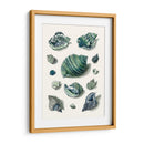 Celadon Shells Ii - Vision Studio | Cuadro decorativo de Canvas Lab