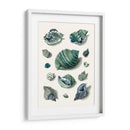 Celadon Shells Ii - Vision Studio | Cuadro decorativo de Canvas Lab