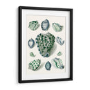Celadon Shells Iii - Vision Studio | Cuadro decorativo de Canvas Lab