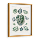 Celadon Shells Iii - Vision Studio | Cuadro decorativo de Canvas Lab