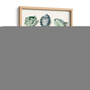 Celadon Shells Iii - Vision Studio | Cuadro decorativo de Canvas Lab
