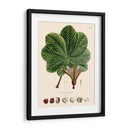 Hojas Deliciosas I | Cuadro decorativo de Canvas Lab