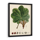 Hojas Deliciosas I | Cuadro decorativo de Canvas Lab