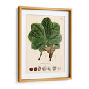 Hojas Deliciosas I | Cuadro decorativo de Canvas Lab