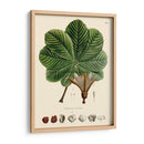 Hojas Deliciosas I | Cuadro decorativo de Canvas Lab