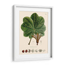 Hojas Deliciosas I | Cuadro decorativo de Canvas Lab