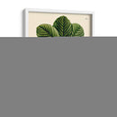 Hojas Deliciosas I | Cuadro decorativo de Canvas Lab