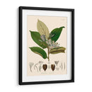 Hojas Deliciosas Ii | Cuadro decorativo de Canvas Lab