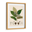 Hojas Deliciosas Ii | Cuadro decorativo de Canvas Lab