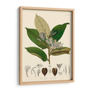 Hojas Deliciosas Ii | Cuadro decorativo de Canvas Lab