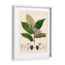 Hojas Deliciosas Ii | Cuadro decorativo de Canvas Lab