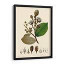 Hojas Deliciosas Iii | Cuadro decorativo de Canvas Lab