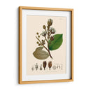 Hojas Deliciosas Iii | Cuadro decorativo de Canvas Lab