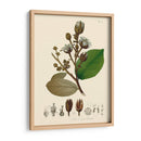 Hojas Deliciosas Iii | Cuadro decorativo de Canvas Lab