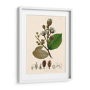 Hojas Deliciosas Iii | Cuadro decorativo de Canvas Lab