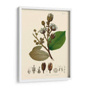 Hojas Deliciosas Iii | Cuadro decorativo de Canvas Lab