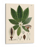 Hojas Deliciosas Iv | Cuadro decorativo de Canvas Lab