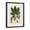 Hojas Deliciosas Iv | Cuadro decorativo de Canvas Lab