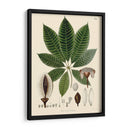 Hojas Deliciosas Iv | Cuadro decorativo de Canvas Lab