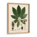 Hojas Deliciosas Iv | Cuadro decorativo de Canvas Lab