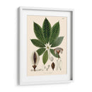 Hojas Deliciosas Iv | Cuadro decorativo de Canvas Lab