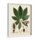 Hojas Deliciosas Iv | Cuadro decorativo de Canvas Lab