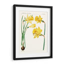 Botánicos Brillantes I | Cuadro decorativo de Canvas Lab