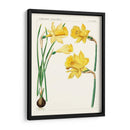 Botánicos Brillantes I | Cuadro decorativo de Canvas Lab