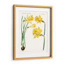 Botánicos Brillantes I | Cuadro decorativo de Canvas Lab