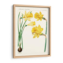 Botánicos Brillantes I | Cuadro decorativo de Canvas Lab