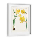 Botánicos Brillantes I | Cuadro decorativo de Canvas Lab