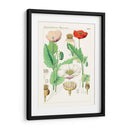 Botánicos Brillantes Ii | Cuadro decorativo de Canvas Lab