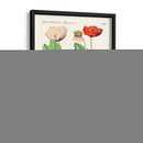 Botánicos Brillantes Ii | Cuadro decorativo de Canvas Lab