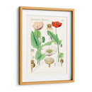 Botánicos Brillantes Ii | Cuadro decorativo de Canvas Lab