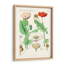 Botánicos Brillantes Ii | Cuadro decorativo de Canvas Lab