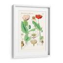 Botánicos Brillantes Ii | Cuadro decorativo de Canvas Lab