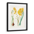 Botánicos Brillantes Iii | Cuadro decorativo de Canvas Lab