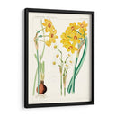 Botánicos Brillantes Iii | Cuadro decorativo de Canvas Lab