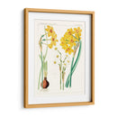 Botánicos Brillantes Iii | Cuadro decorativo de Canvas Lab