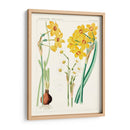 Botánicos Brillantes Iii | Cuadro decorativo de Canvas Lab