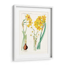 Botánicos Brillantes Iii | Cuadro decorativo de Canvas Lab